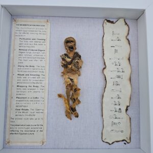 2025-01-05_20-23-32-1-300×300 Miniaturised Egyptian Mummy
