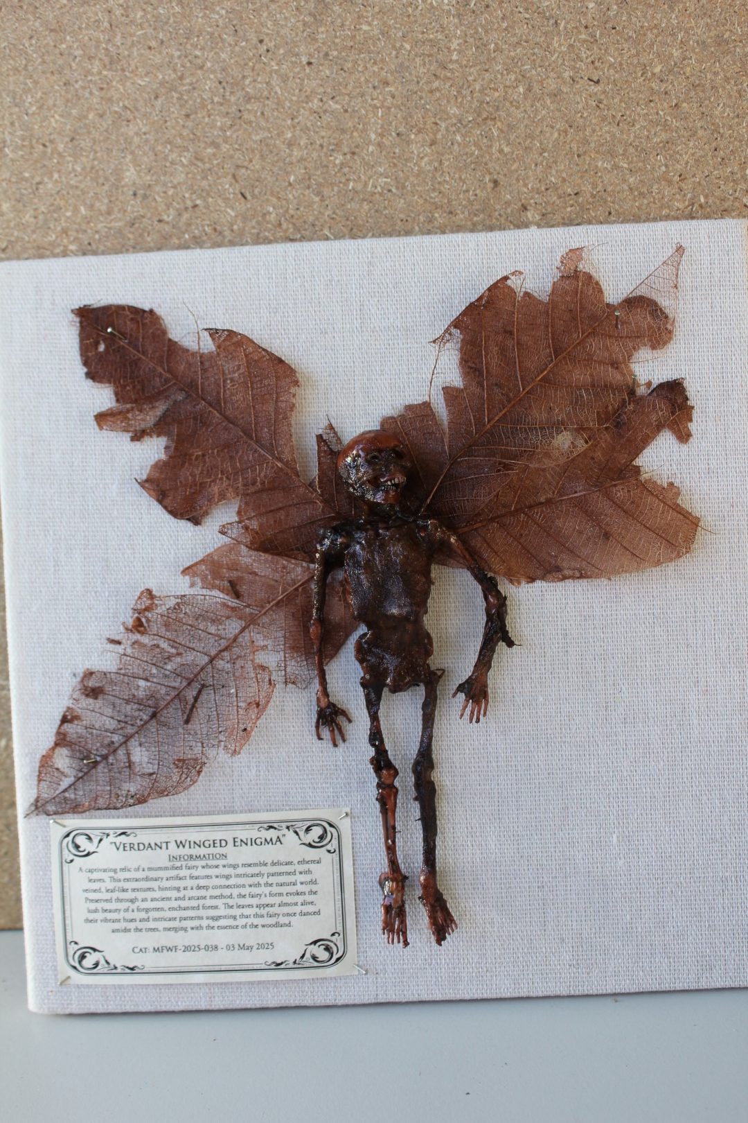 Verdant Winged Enigma Mummified Fairy shadowbox