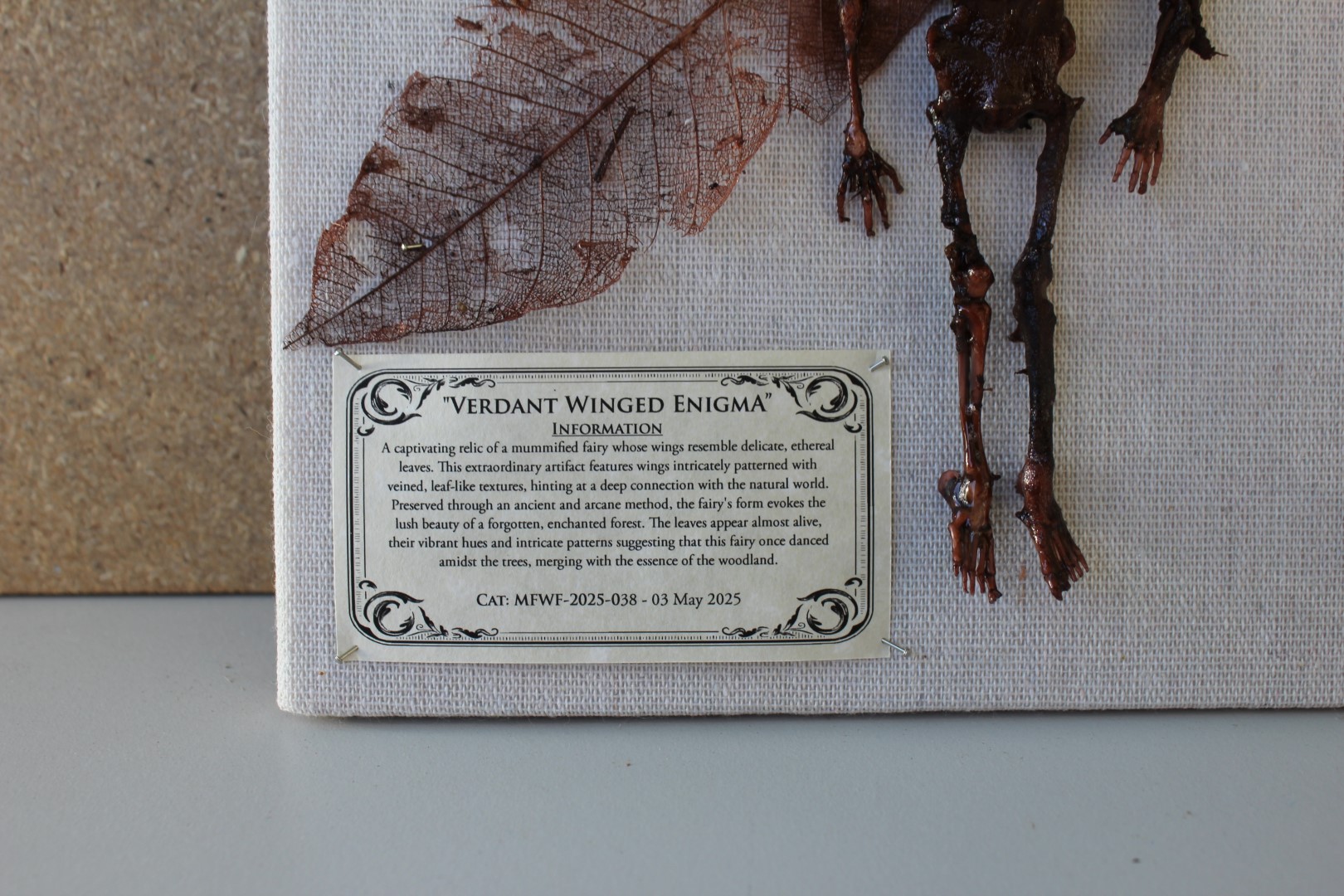 Verdant Winged Enigma Mummified Fairy shadowbox - Image 2