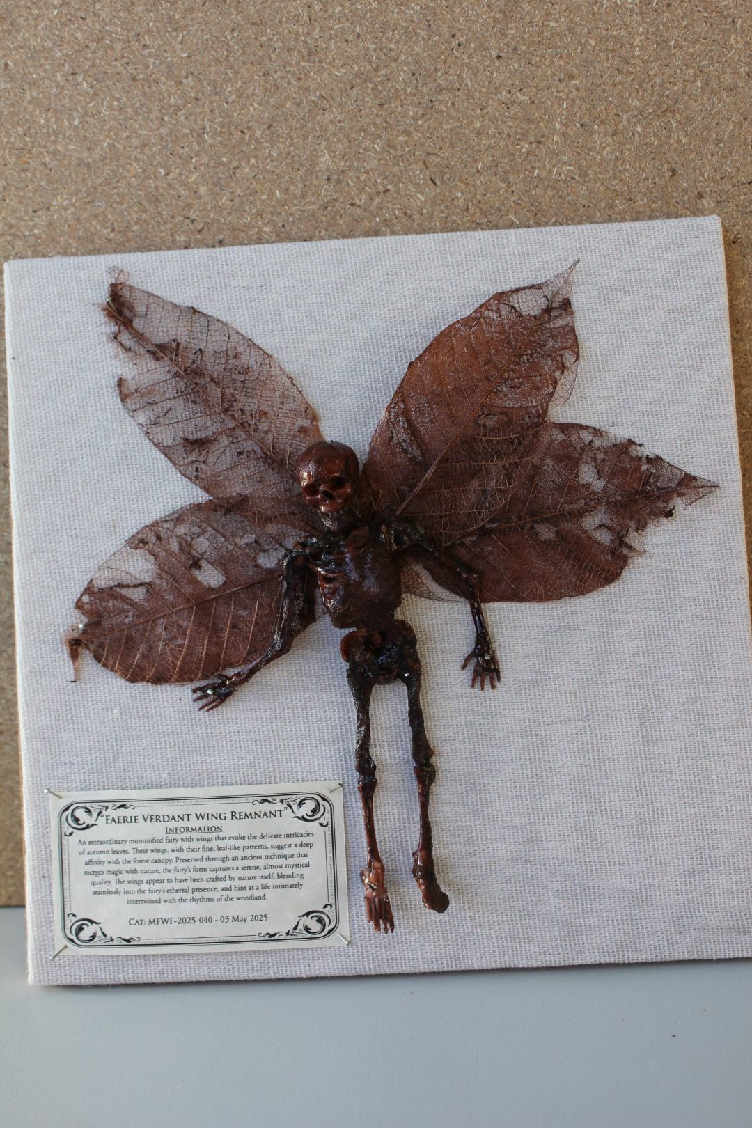 Faerie Verdant Wing Remnant Mummified Fairy shadowbox