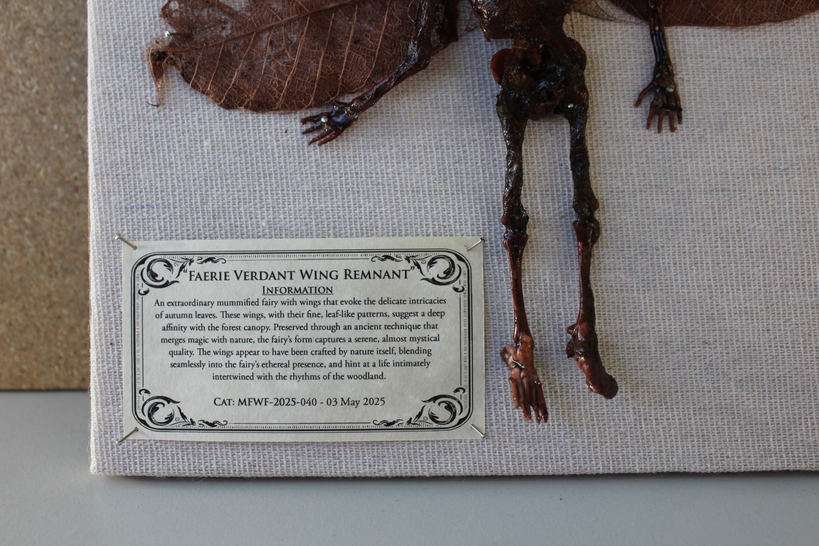 Faerie Verdant Wing Remnant Mummified Fairy shadowbox - Image 2