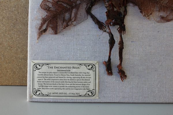 The Enchanted Relic Mummified Fairy shadowbox - Image 2
