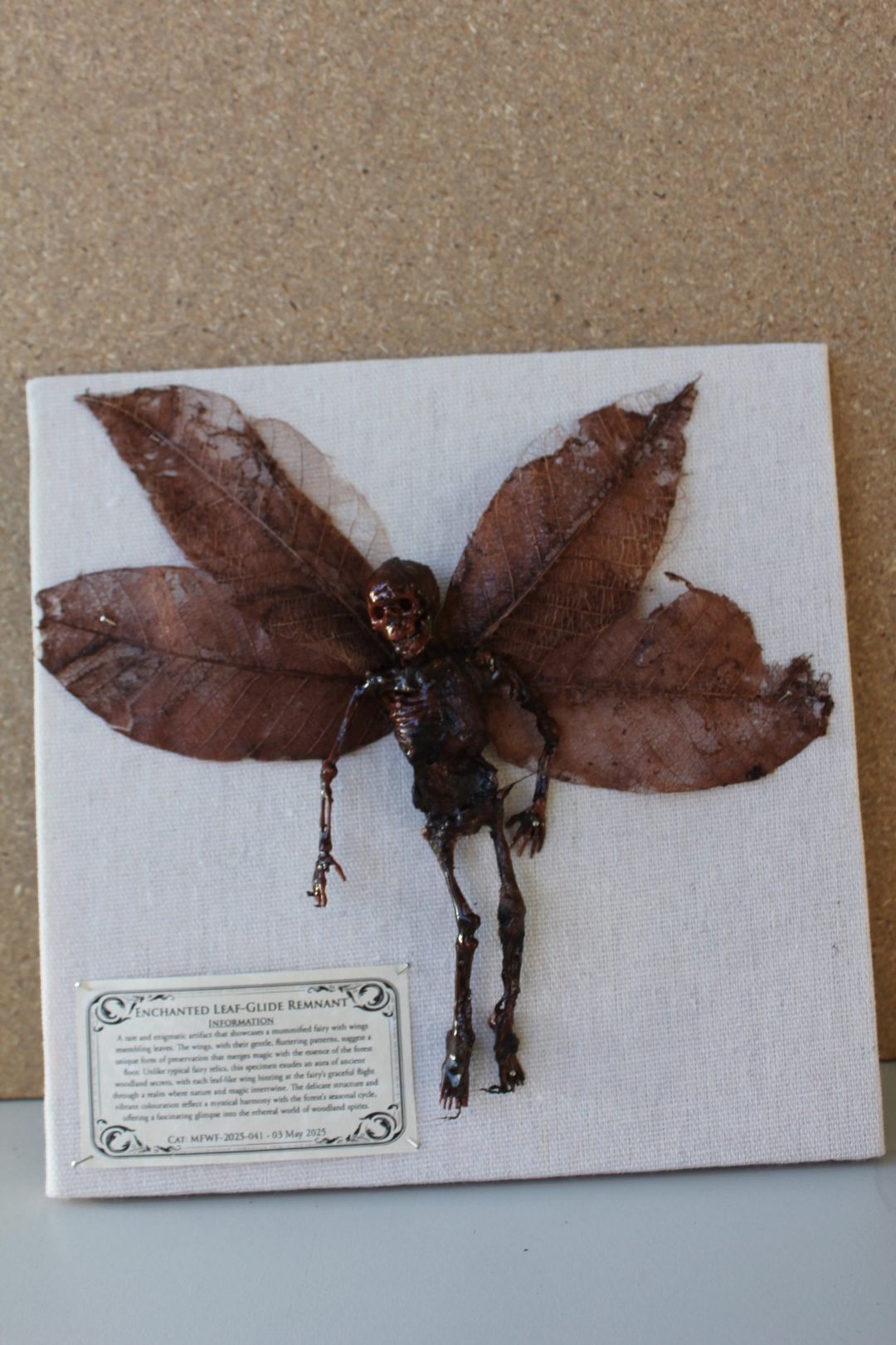 Enchanted Leaf-Glide Remnant Mummified Fairy shadowbox