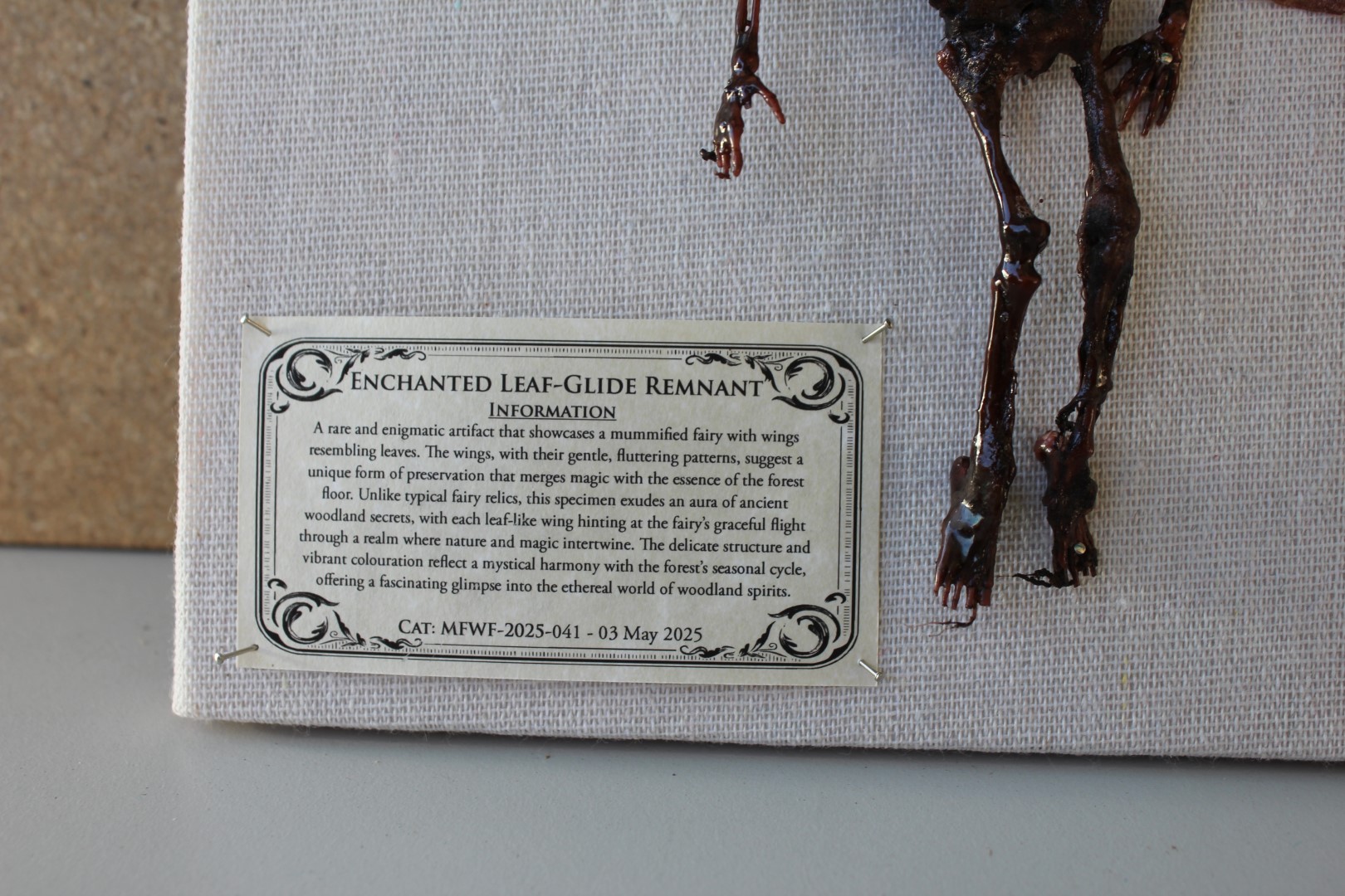 Enchanted Leaf-Glide Remnant Mummified Fairy shadowbox - Image 2