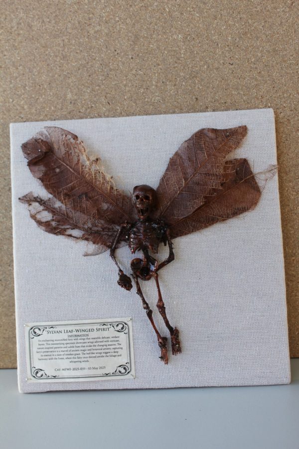 IMG_6203 (Large) Sylvan Leaf-Winged Spirit Mummified Fairy shadowbox