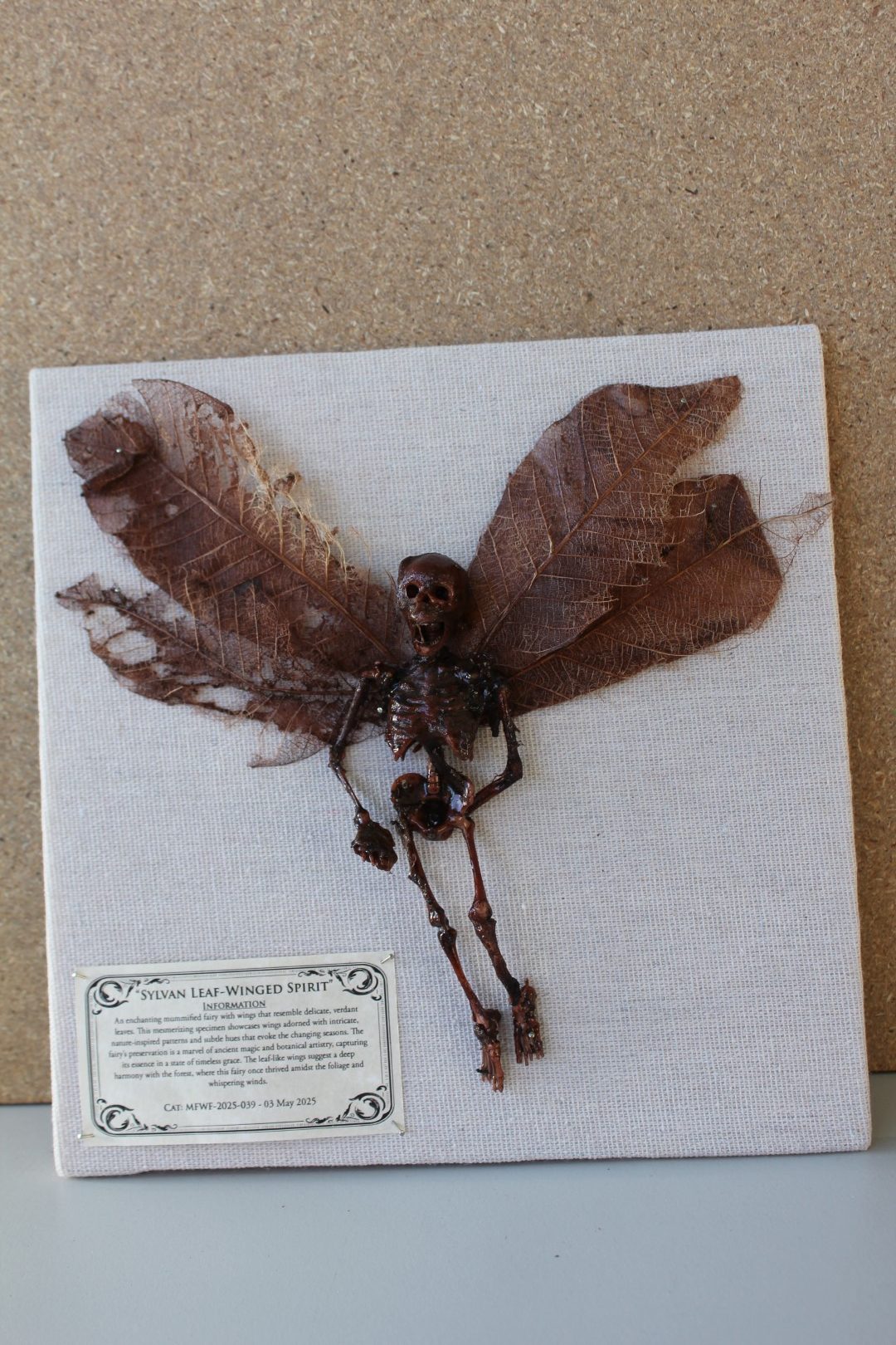 Sylvan Leaf-Winged Spirit Mummified Fairy shadowbox