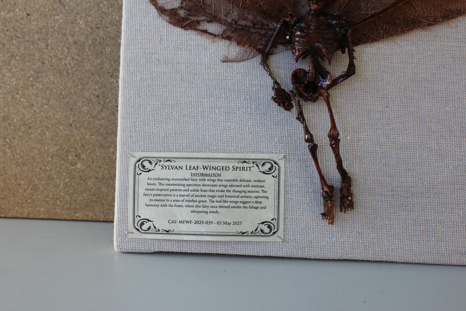 Sylvan Leaf-Winged Spirit Mummified Fairy shadowbox - Image 2