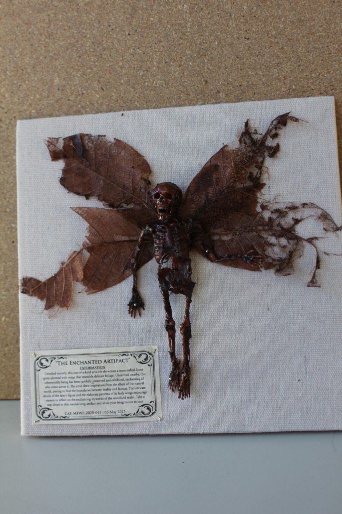 The Enchanted Artifact Mummified Fairy shadowbox